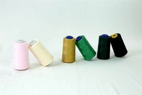 國(guó)家原液著色縫紉線產(chǎn)品開(kāi)發(fā)基地首秀大灣區(qū)國(guó)際紡織面料及輔料博覽會(huì)