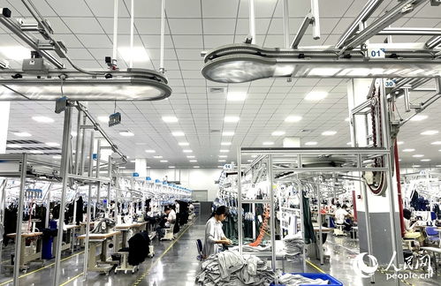 三明產(chǎn)業(yè)觀察 一條條 鏈 背后,藏著老區(qū)發(fā)展何種 脈絡(luò)