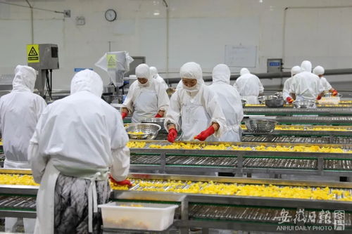 加快建設(shè) 七個強省 ⑧ 做好 糧頭食尾 畜頭肉尾 農(nóng)頭工尾 增值大文章